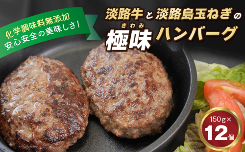 淡路島 極味ハンバーグ 150g×12個　牛肉100％ 冷凍食品 国産牛 化学調味料無添加 996153 - 兵庫県淡路市
