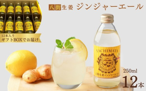＼ ギフトにおすすめ ／ 大人 の 辛口 ジンジャーエール 250ml × 12本 贈答用 ギフト ギフト用 八街産 生姜 しょうが 八街 ジュース ジンジャー 瓶 ビン セット 996286 - 千葉県八街市