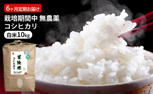 米 定期便 6ヶ月 栽培期間中 無農薬 コシヒカリ 10kg 白米 精米 こめコメ 福井県認証特別栽培米 化学肥料化学合成農薬不使用 ご飯 6回 半年 お楽しみ こしひかり 福井 福井県 若狭町 996372 - 福井県若狭町