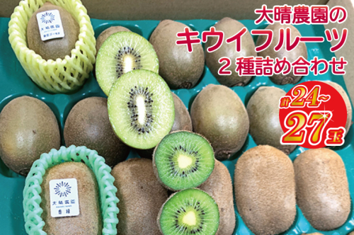 【先行予約】【11月発送】東京ゴールドと香緑2種詰め合わせ24～27玉入り 大晴農園のキウイフルーツ【埼玉県 春日部市 国産 フルーツ 果物 産地直送 贈答用 お取り寄せ 家庭用 ギフト 朝食 デザート】（BY005） 996443 - 埼玉県春日部市