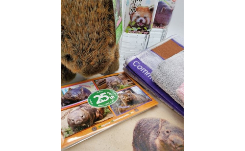 茶臼山動物園ウォンバット来園25周年記念グッズ Au Pay ふるさと納税