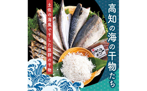 SST002　高知の海の干物たち＜土佐の海風で干した抜群の干物を＞＜高知市・南国市共通返礼品＞ 99648 - 高知県芸西村