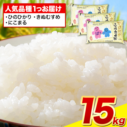 【発送時期が選べる】【先行予約】米 令和6年産 15kg ふるさと米 備中笠岡 人気品種をお届け！ 国産 ヒノヒカリ にこまる きぬむすめ お米 ブランド米 ふっくら ハリ おにぎり 弁当 発送時期が選べる 単一原料米 検査済み お取り寄せ 送料無料 岡山県産 996785 - 岡山県笠岡市