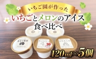 【希少品種】いちごとメロンのアイス 食べ比べ5個セット SMAN013