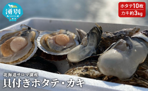 【国内消費拡大求む】先行予約 北海道サロマ湖産　貝付きホタテ10枚・カキ約3kg 魚貝類 生牡蠣 かき 牡蠣 帆立 ほたて  99684 - 北海道湧別町
