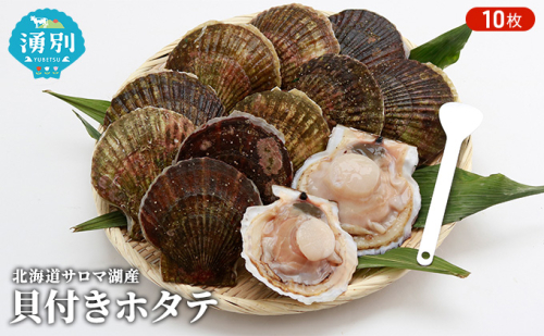 【国内消費拡大求む】先行予約 北海道 サロマ湖産　貝付き ホタテ 10枚 帆立 ほたて 刺身 海鮮 魚介 国産 殻付き 冷蔵 オホーツク 魚貝類 貝付きホタテ 魚介類  99685 - 北海道湧別町