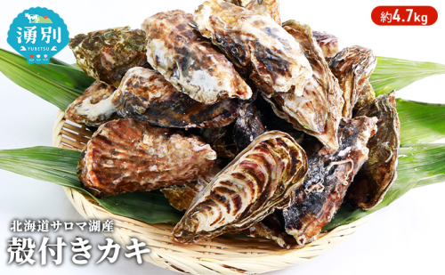 北海道 サロマ湖産 カキ 約4.7kg 牡蠣 海鮮 魚介 国産 殻付き 貝付き 生食 焼き牡蠣 蒸し牡蠣 冷蔵 産地直送 オホーツク 魚貝類 生牡蠣 かき 殻付きカキ  99688 - 北海道湧別町