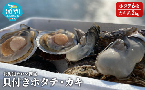 先行予約 北海道サロマ湖産　貝付きホタテ6枚・カキ約2kg 魚貝類 帆立 ほたて 魚介類  99690 - 北海道湧別町