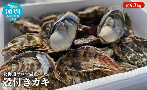 先行予約 北海道 サロマ湖産 カキ 約4.7kg 牡蠣 かき 海鮮 魚介 国産 殻付き 貝付き 生牡蠣 生食 焼き牡蠣 蒸し冷蔵 産地直送 オホーツク 魚貝類  99691 - 北海道湧別町