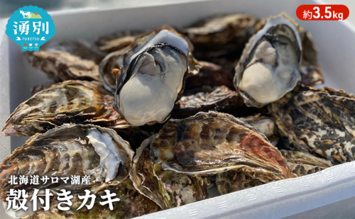 【国内消費拡大求む】先行予約 北海道 サロマ湖産 カキ 約3.5kg 牡蠣 かき 海鮮 魚介 国産 殻付き 貝付き 生牡蠣 生食 焼き牡蠣 蒸し牡蠣 冷蔵 産地直送 オホーツク 魚貝類 99692 - 北海道湧別町