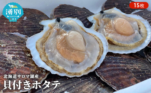 【国内消費拡大求む】先行予約 北海道 サロマ湖産　貝付き ホタテ 15枚 帆立 ほたて 刺身 海鮮 魚介 国産 殻付き 冷蔵 オホーツク 魚貝類 貝付きホタテ 魚介類 99693 - 北海道湧別町