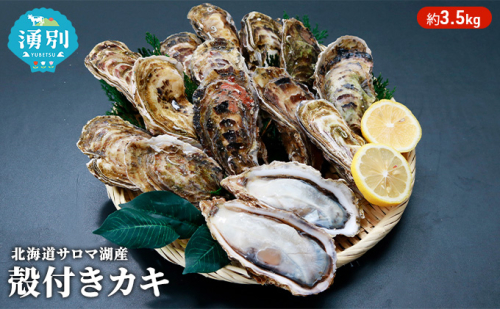 【国内消費拡大求む】 先行予約 北海道 サロマ湖産 カキ 約3.5kg 牡蠣 海鮮 魚介 国産 殻付き 貝付き 生食 焼き牡蠣 蒸し牡蠣 冷蔵 産地直送 オホーツク 魚貝類 生牡蠣 かき 殻付きカキ  99695 - 北海道湧別町