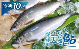 世界文化遺産に登録される白川郷を流れる庄川で漁獲された天然鮎です。白川郷を囲む白山麓から、雪解け水と共に、ブナ林の栄養分がたっぷりと庄川に流れ込みます。川の石にはアユの好む良質な藻が育ち、アユはたくさ