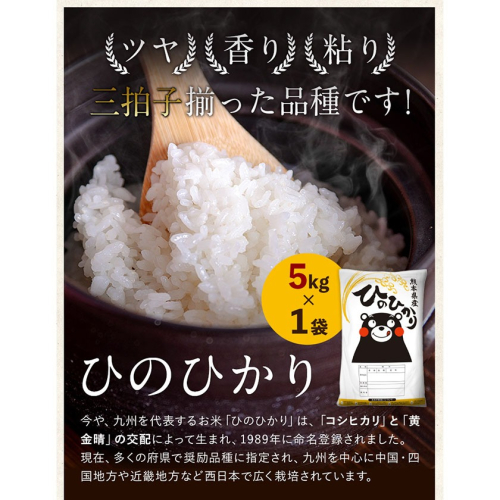 送料無料】近江のお米 30kg（10kg×3本） - 食品