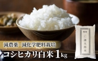 【太陽と大地】八重原産特別栽培米（減農薬・減化学肥料栽培）コシヒカリ白米１kg