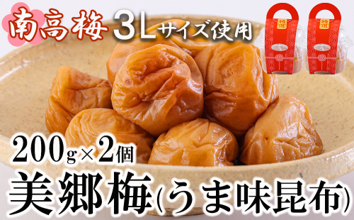 南高梅 梅干し 美郷梅 昆布 200g×2 3Lサイズ 塩分控えめ A級品 [農林産物直売所 美郷ノ蔵 宮崎県 美郷町 31ab0109] 国産 宮崎県産 美郷産 常温 送料無料 贈答品 父の日 母の日 プレゼント ギフト おやつ お菓子 料理 調理 おかず 997223 - 宮崎県美郷町