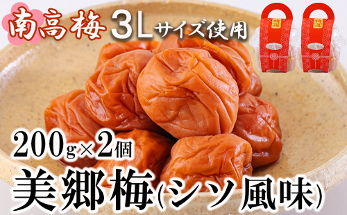 南高梅 梅干し 美郷梅 シソ風味 200g×2 3Lサイズ 塩分控えめ A級品 [農林産物直売所 美郷ノ蔵 宮崎県 美郷町 31ab0110] 国産 宮崎県産 美郷産 常温 送料無料 贈り物 贈答品 父の日 母の日 プレゼント ギフト 紫蘇 おやつ お菓子 997326 - 宮崎県美郷町