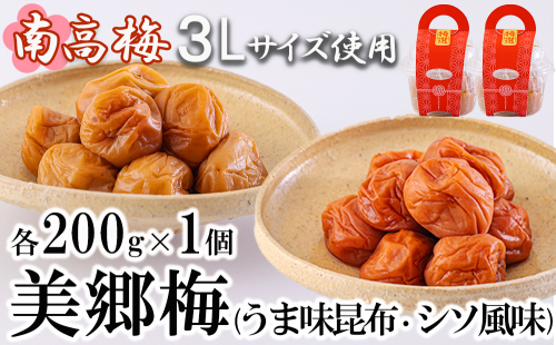 梅 南高梅 美郷梅使用 梅干し 昆布 シソ 風味 セット 3L サイズ 200g ×2 [農林産物直売所 美郷ノ蔵 宮崎県 美郷町 31ab0111] うめ ウメ 個包装 詰め合わせ 997327 - 宮崎県美郷町