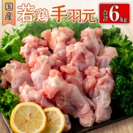 国産若鶏手羽元 合計6kg 鶏肉 九州産【B625】