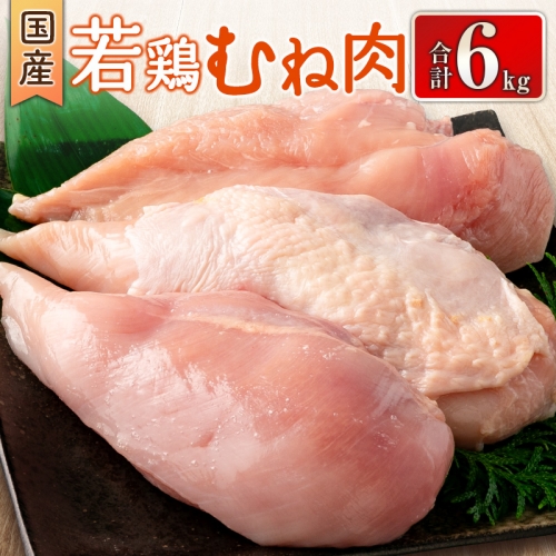 国産若鶏むね肉 合計6kg 鶏肉 九州産【B626】 997332 - 宮崎県新富町