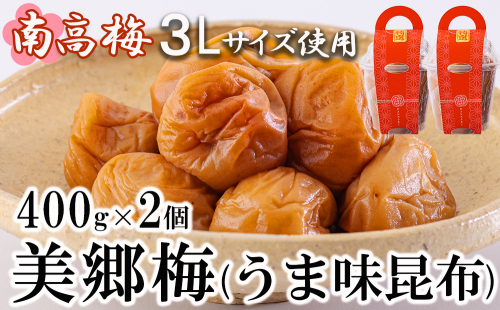 南高梅 梅干し 美郷梅 昆布 400g×2個 3Lサイズ 塩分控えめ A級品 [農林産物直売所 美郷ノ蔵 宮崎県 美郷町 31ab0112] 国産 宮崎県産 美郷産 常温 送料無料 贈答品 父の日 母の日 プレゼント ギフト 贈り物 おやつ お菓子 料理 調理 おかず 普段使い 997334 - 宮崎県美郷町