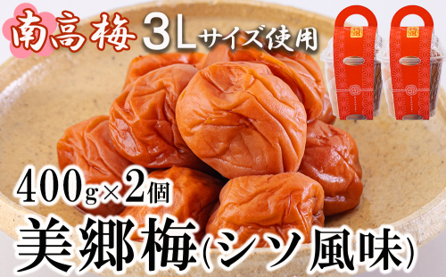 南高梅 梅干し 美郷梅 シソ風味 400g×2 3Lサイズ 塩分控えめ A級品 [農林産物直売所 美郷ノ蔵 宮崎県 美郷町 31ab0113] 国産 宮崎県産 美郷産 常温 送料無料 贈答品 父の日 母の日 プレゼント ギフト 贈り物 おやつ お菓子 調理 おかず 料理 普段使い 997356 - 宮崎県美郷町