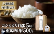 八重原産特別栽培米（減農薬・減化学肥料栽培）コシヒカリ（白米）５kgと信州味噌「八重原味噌」５００ｇのセット