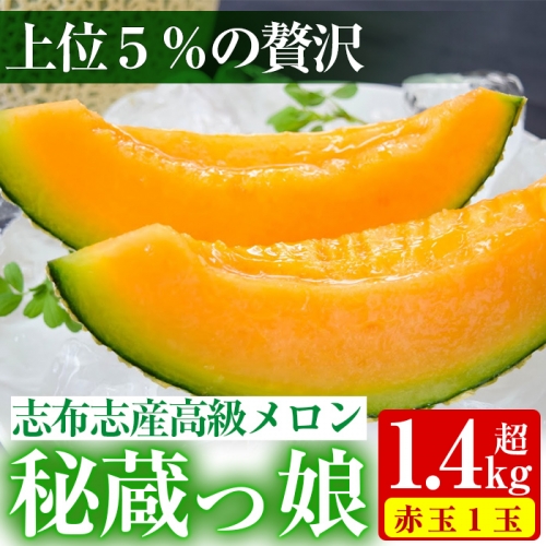 a5-060 【春限定】極上メロン「秘蔵っ娘」赤玉(赤肉)1個 99744 - 鹿児島県志布志市