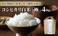 【太陽と大地】八重原産コシヒカリ白米「極」（栽培期間中農薬化学肥料不使用）４kg