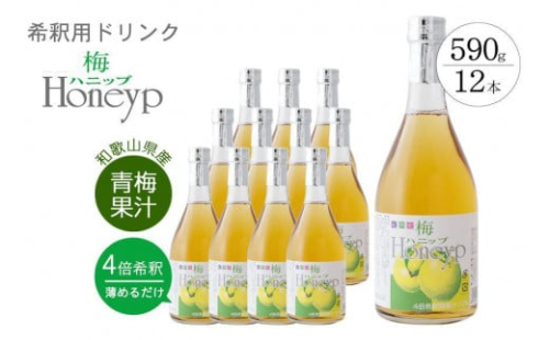 希釈用梅ドリンク 梅ハニップ 12本セット 997813 - 和歌山県上富田町