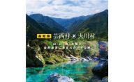 ZZ111-NT [芸西村と大川村の共通返礼品]芸西村 海鮮丼の素セット[個別発送]&大川村 土佐はちきん地鶏ムネ肉セット