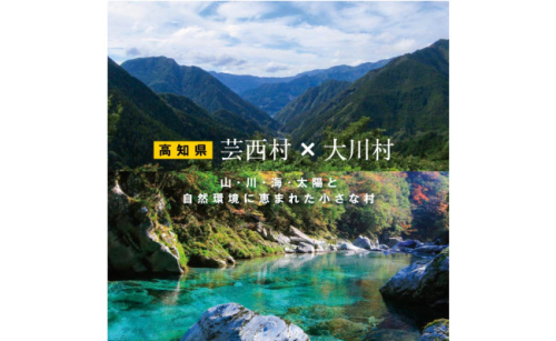 ZZ112-NT　【芸西村と大川村の共通返礼品】芸西村 海鮮丼の素セット【個別発送】＆大川村 土佐はちきん地鶏まるごと一羽セット 99796 - 高知県芸西村