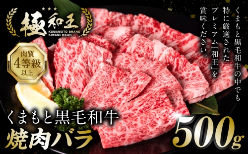 極和王シリーズ くまもと黒毛和牛 焼肉バラ 500g 熊本県産 牛肉 997971 - 熊本県八代市