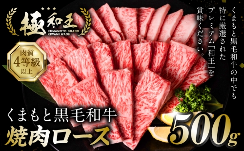 極和王シリーズ くまもと黒毛和牛 焼肉ロース 500g 熊本県産 牛肉 997972 - 熊本県八代市