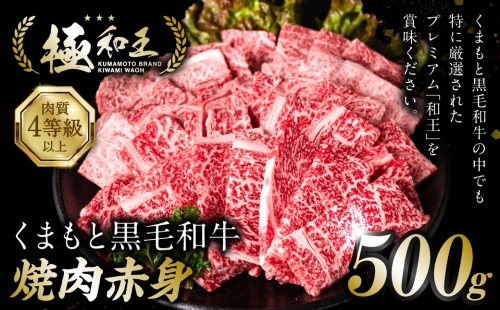 極和王シリーズ くまもと黒毛和牛 焼肉赤身 500g 熊本県産 牛肉 997973 - 熊本県八代市