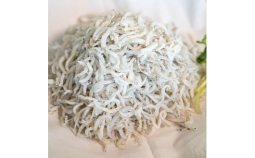 日間賀島 釜揚げ しらす 1kg 天然 塩 愛知県 南知多町 冷凍 ご飯 国産 ごはん パスタ サラダ 人気シラス 美味しいシラス釜揚げシラス しらす丼 国産シラス 新鮮しらす ピザ 丼 料理 国産 パーティー 魚 さかな 魚介 鮮魚 シラス ミネラル 人気 おすすめ 人気しらす 美味しいしらす コメ に合う お米 に合う ダイエット ちりめん ちりめんじゃこ シラス しらす しらすごはん shirasu sirasu SIRASU 人気シラス