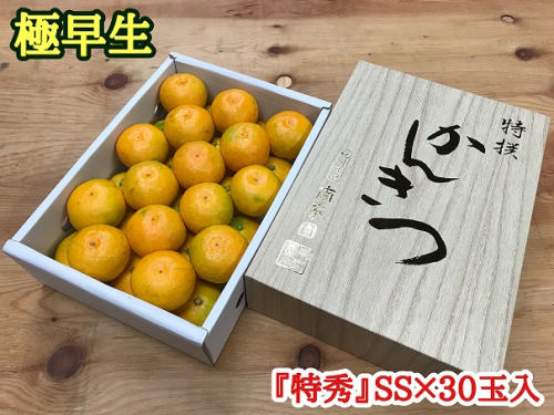 極早生 みかん 有田 化粧箱 小箱 特秀 SSサイズ 約2kg 30玉入 南泰園_ZF6024n 998213 - 和歌山県湯浅町
