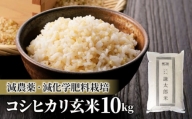 【太陽と大地】八重原産特別栽培米（減農薬・減化学肥料栽培）コシヒカリ玄米１０kg