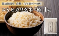 【太陽と大地】八重原産コシヒカリ玄米「極」（栽培期間中農薬化学肥料不使用）1kg
