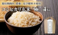 【太陽と大地】八重原産コシヒカリ玄米「極」（栽培期間中農薬化学肥料不使用）４kg