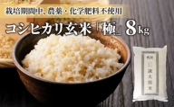 【太陽と大地】八重原産コシヒカリ玄米「極」（栽培期間中農薬化学肥料不使用）８kg