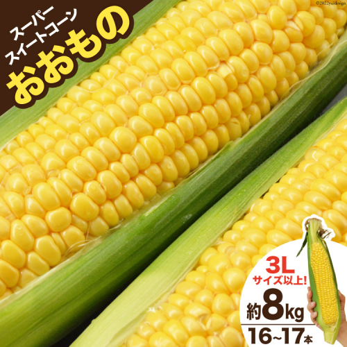 AE218 とうもろこし おおもの スーパースイートコーン 約8kg 【3Lサイズ以上！】 99913 - 長崎県島原市