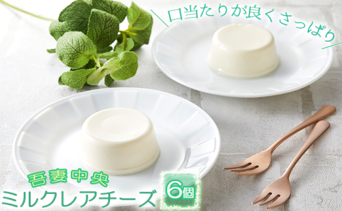 吾妻中央ミルク　レアチーズ 6個セット お菓子 チーズケーキ  99918 - 群馬県東吾妻町