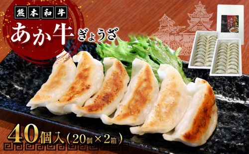 熊本和牛あか牛ぎょうざセット(熊本あか牛餃子20個入り×2箱) 999366 - 熊本県八代市