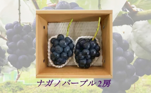 信州産ナガノパープル2房（合計1kg以上）大粒＆大房 果物 ぶどう フルーツ 種なし 皮ごと 食べ応え 秋の味覚  999722 - 長野県長野市