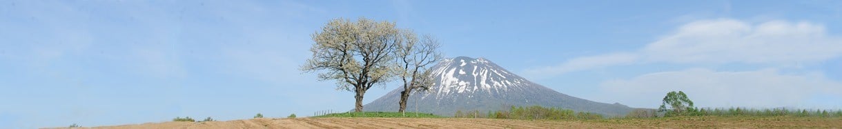 ニセコ町