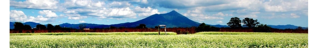 茨城県庁