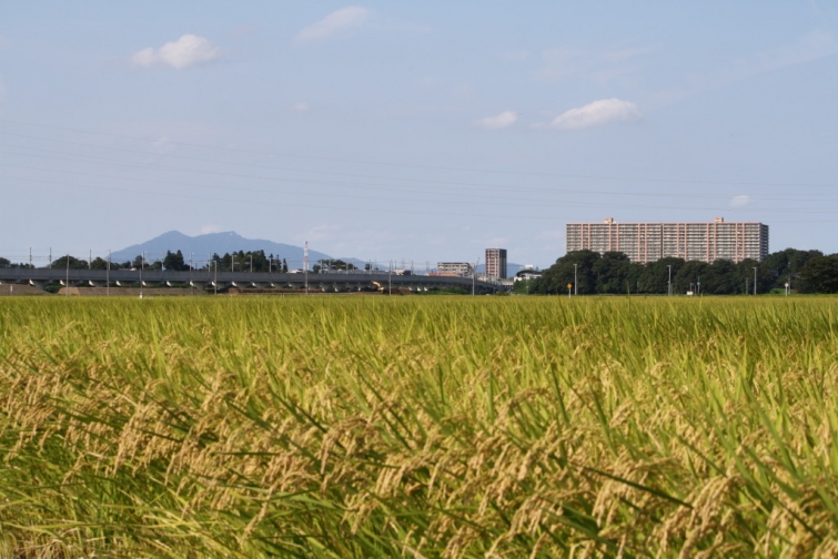 つくばみらい市