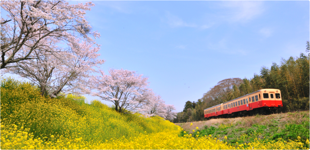 市原市