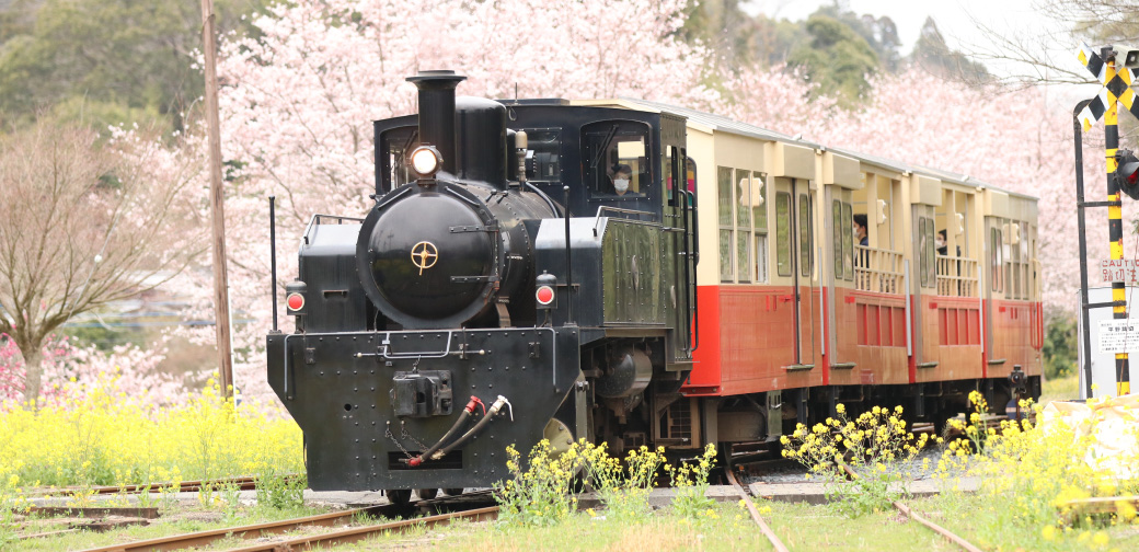 市原市
